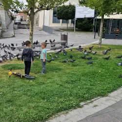 Central Park Dej - Dej