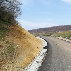Valea Măgheruşului Nature Reserve - Dej
