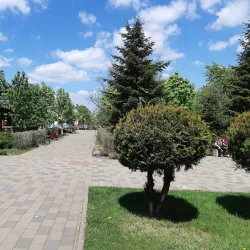 Central Park of Dorohoi - Dorohoi