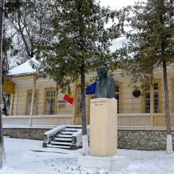 The Old Market Square - Dorohoi