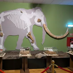 Drobeta-Turnu Severin Museum - Drobeta-Turnu Severin