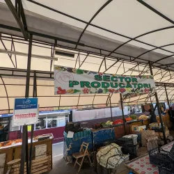 Focșani Market - Focsani