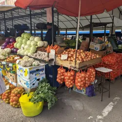 Focșani Market - Focsani