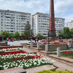 Vrancea Wine Region - Focsani