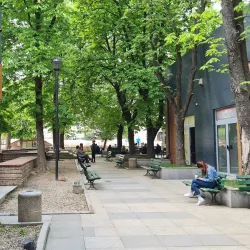 Vrancea Wine Region - Focsani