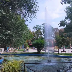 Vrancea Wine Region - Focsani