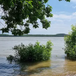 Danube Promenade - Galati
