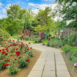 Galati Botanical Garden - Galati