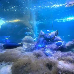 Galati Botanical Garden - Galati