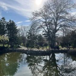 Natural Sciences Museum Complex - Galati