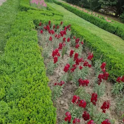 Natural Sciences Museum Complex - Galati