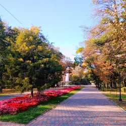 Public Garden (Parcul Public) - Galati