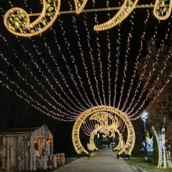 Public Garden (Parcul Public) - Galati