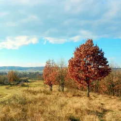 Valea Mare Nature Reserve - Horezu