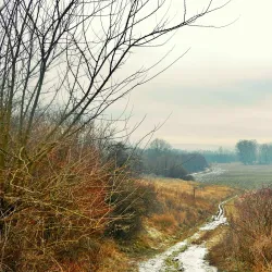 Valea Mare Nature Reserve - Horezu