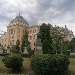 Alexandru Ioan Cuza University - Iasi