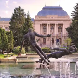 Alexandru Ioan Cuza University - Iasi