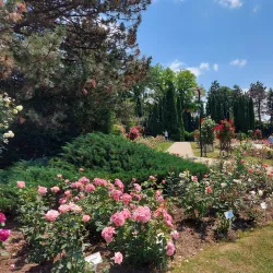 Botanical Garden of Iasi - Iasi