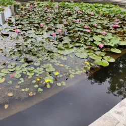Botanical Garden of Iasi - Iasi