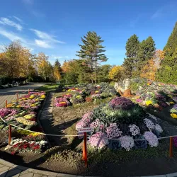 Botanical Garden of Iasi - Iasi