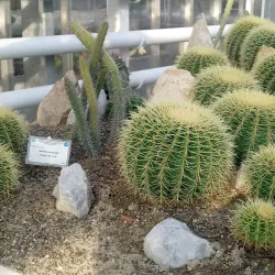 Botanical Garden of Iasi - Iasi