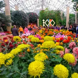 Botanical Garden of Iasi - Iasi