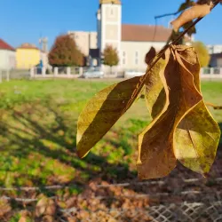 Iernut Town Museum - Iernut