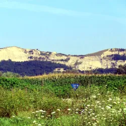 Iernut Town Museum - Iernut