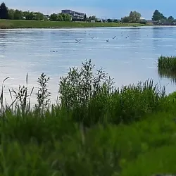 Mureș River Walk - Iernut