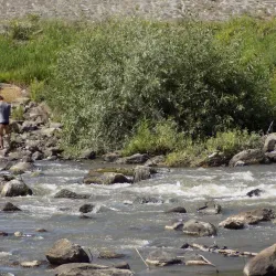 Mureș River Walk - Iernut