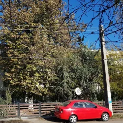 Danube River (nearby) - Lehliu Gara