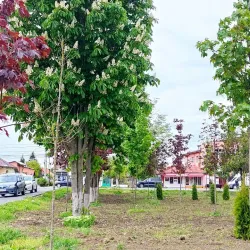 Local Countryside and Nature Walks - Lehliu Gara