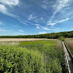 Nearby Natural Reserves and Parks - Lehliu Gara