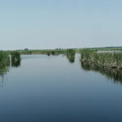 Nearby Natural Reserves and Parks - Lehliu Gara