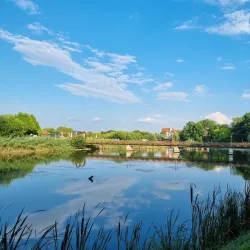 Nearby Natural Reserves and Parks - Lehliu Gara