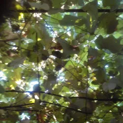 Village of Lehliu - Lehliu Gara