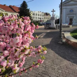 Lugoj Orthodox Cathedral - Lugoj