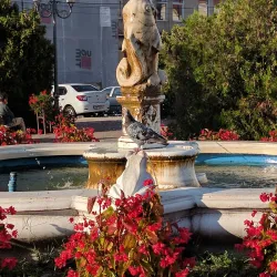 Lugoj Synagogue - Lugoj