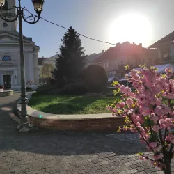 Lugoj Synagogue - Lugoj