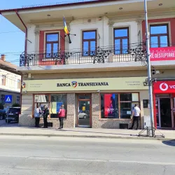 Lugoj Synagogue - Lugoj