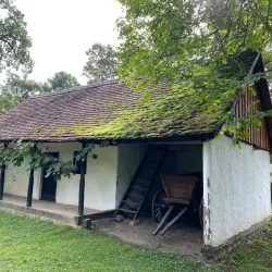 The Banat Museum - Lugoj