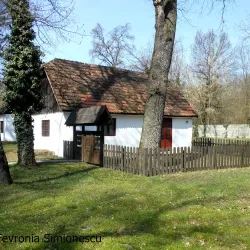 The Banat Museum - Lugoj