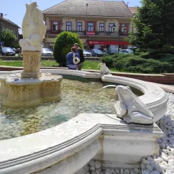 The Lugoj Fortress Ruins - Lugoj