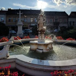 The Lugoj Fortress Ruins - Lugoj