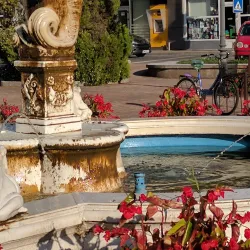 The Lugoj Fortress Ruins - Lugoj