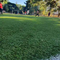 The Millennium Park - Lugoj