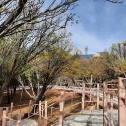 The Millennium Park - Lugoj