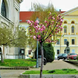The Old Town Center - Lugoj