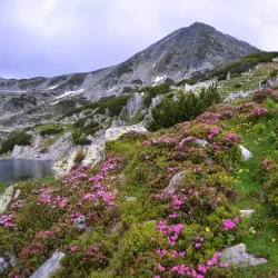 Retezat National Park - Lupeni
