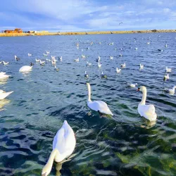 Mangalia Marina - Mangalia